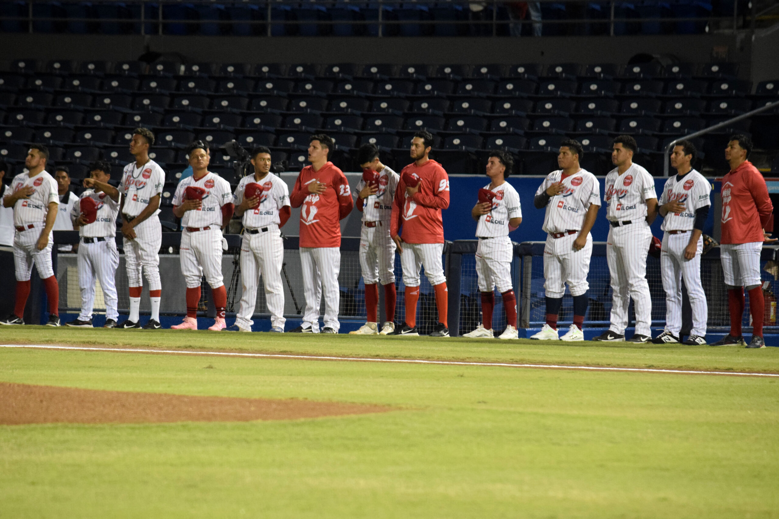 Playball de la pelota profesional