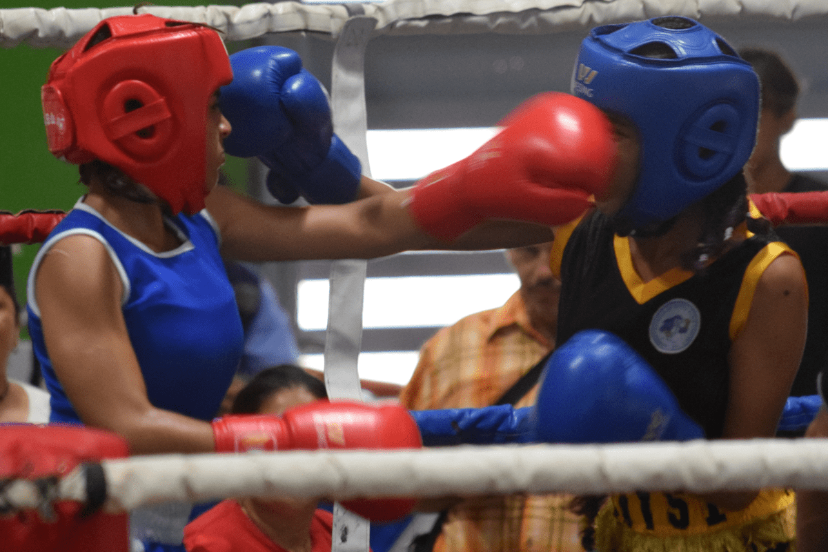 Gran final de Boxeo Infantil 2024