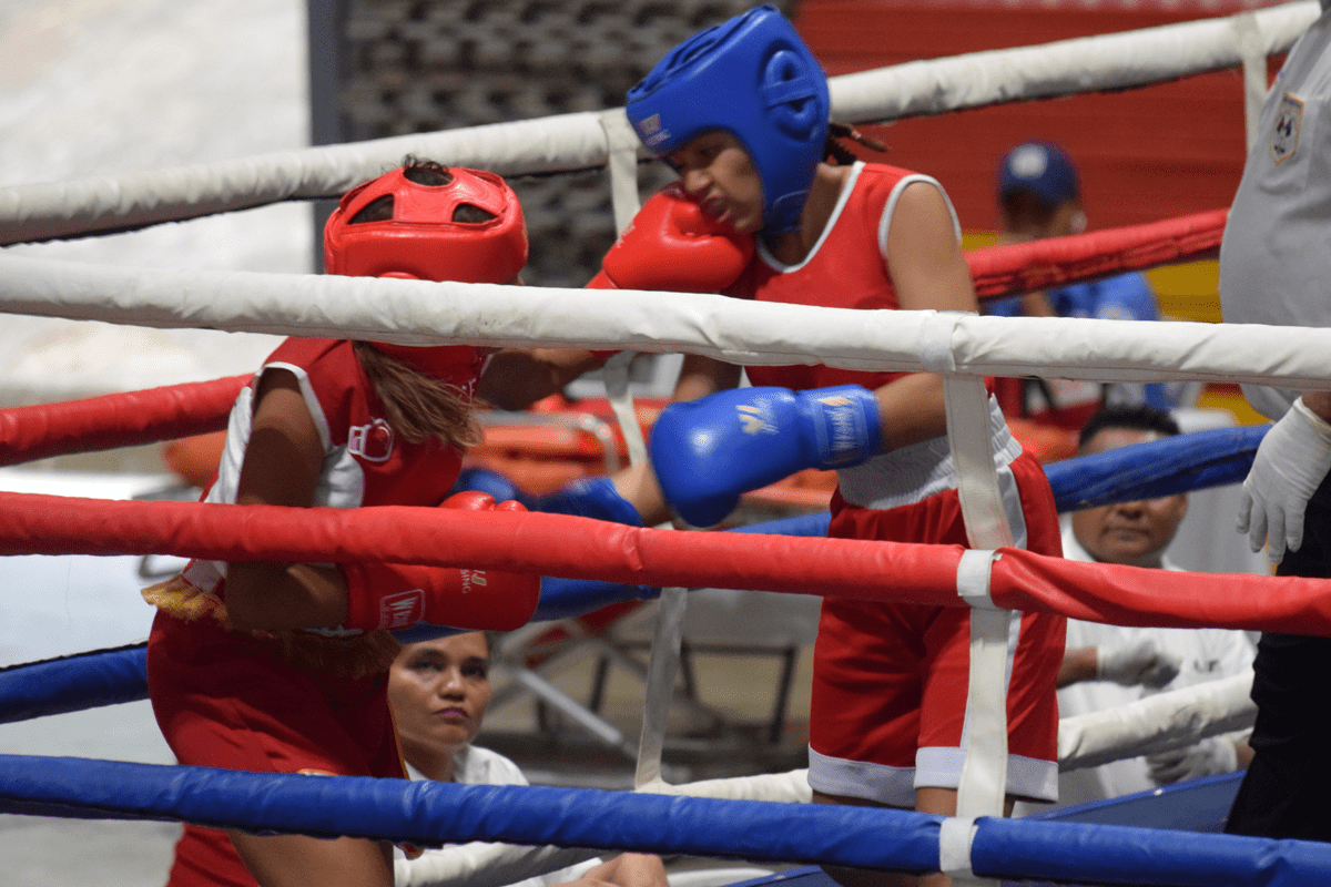 Maratónica jornada pugilística infantil