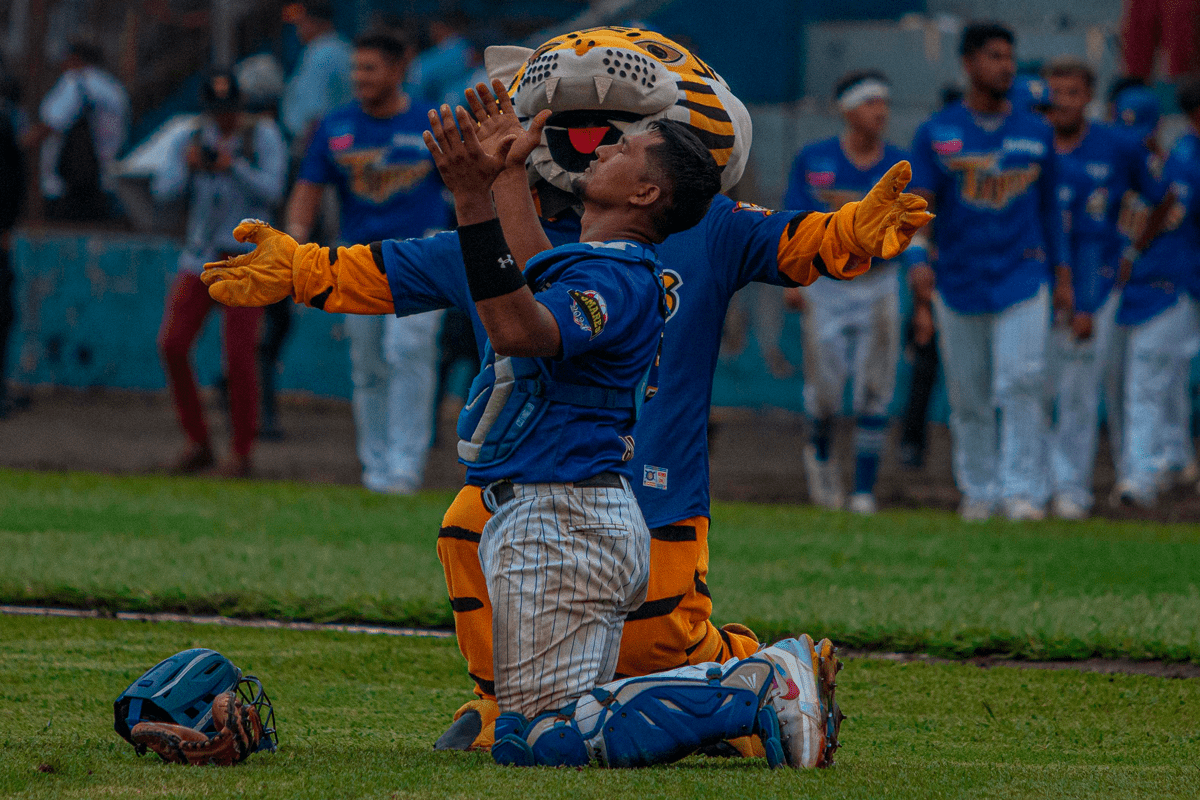 Tigres ‘comen’ Dantos en Pomares