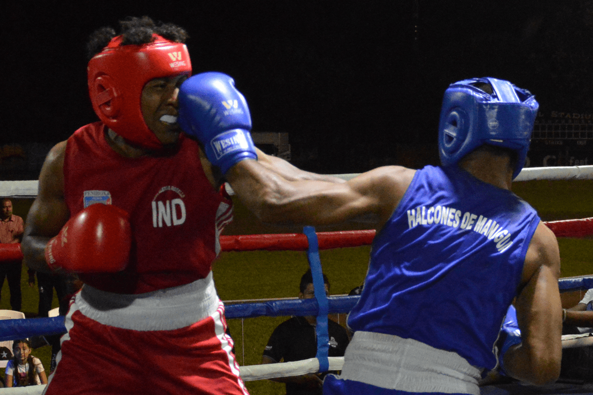 Los mejores del boxeo amateur 2024