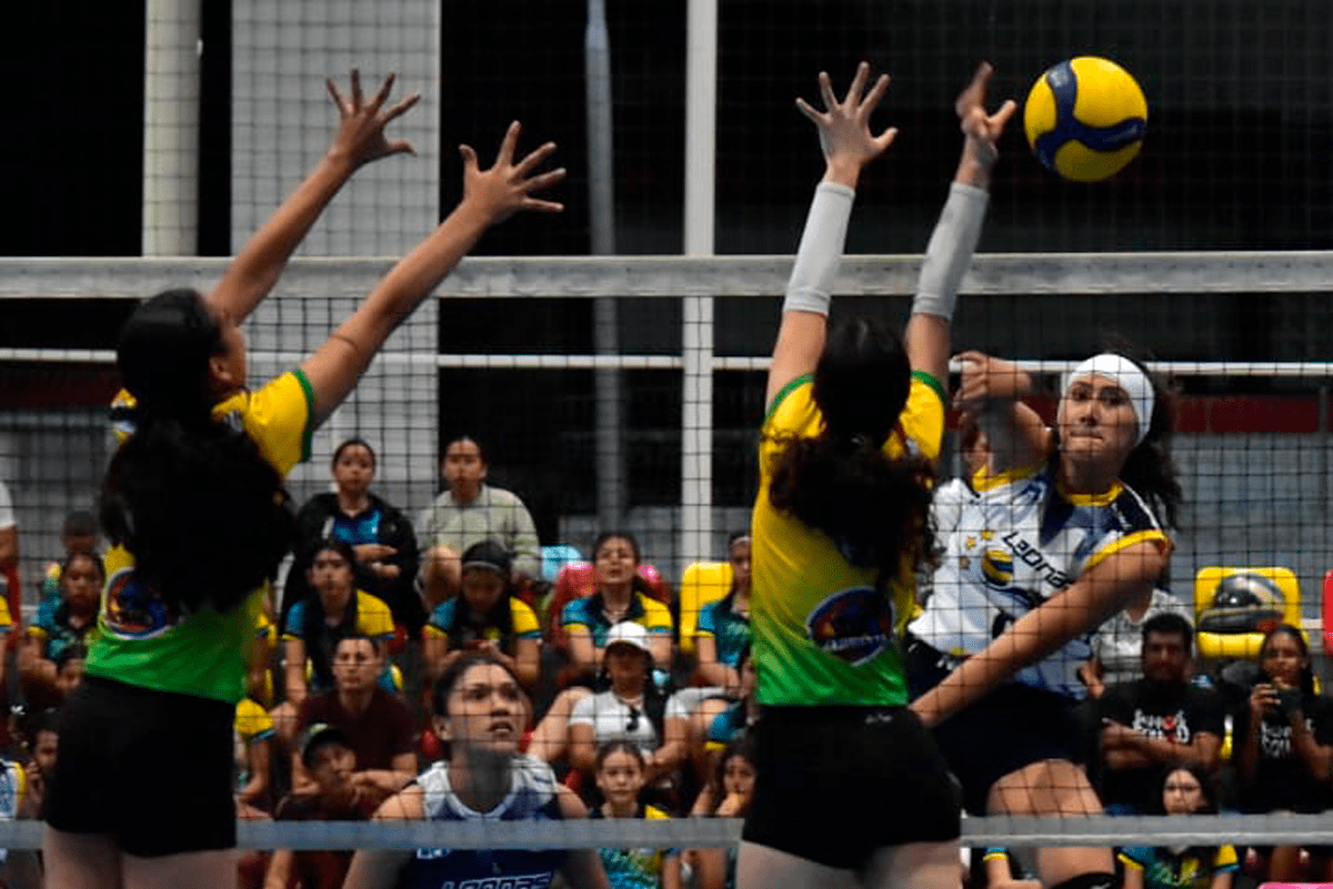 Leonas y Panteras como favoritas