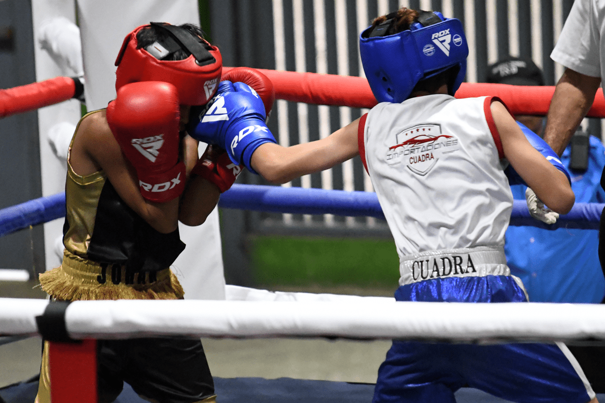 Listos finalistas del Campeonato Nacional de Boxeo Infantil