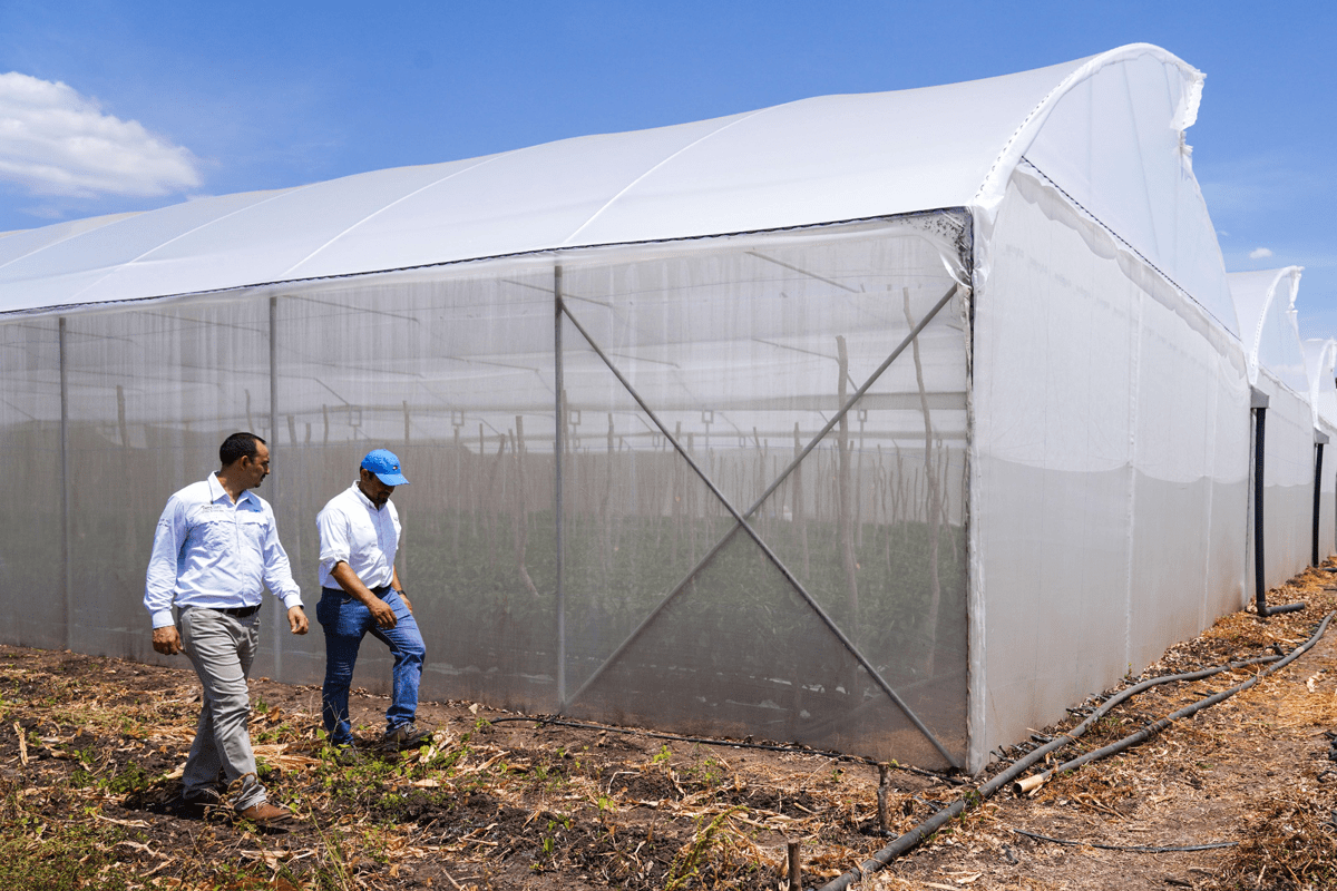 Agricultores de Estelí cosecharán futuro con apoyo de Walmart
