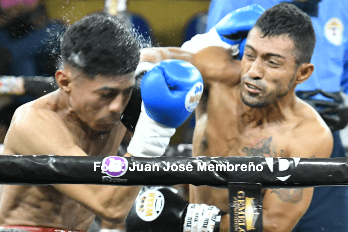 Reyneris Gutiérrez buscará título Fedelatin de la AMB en México