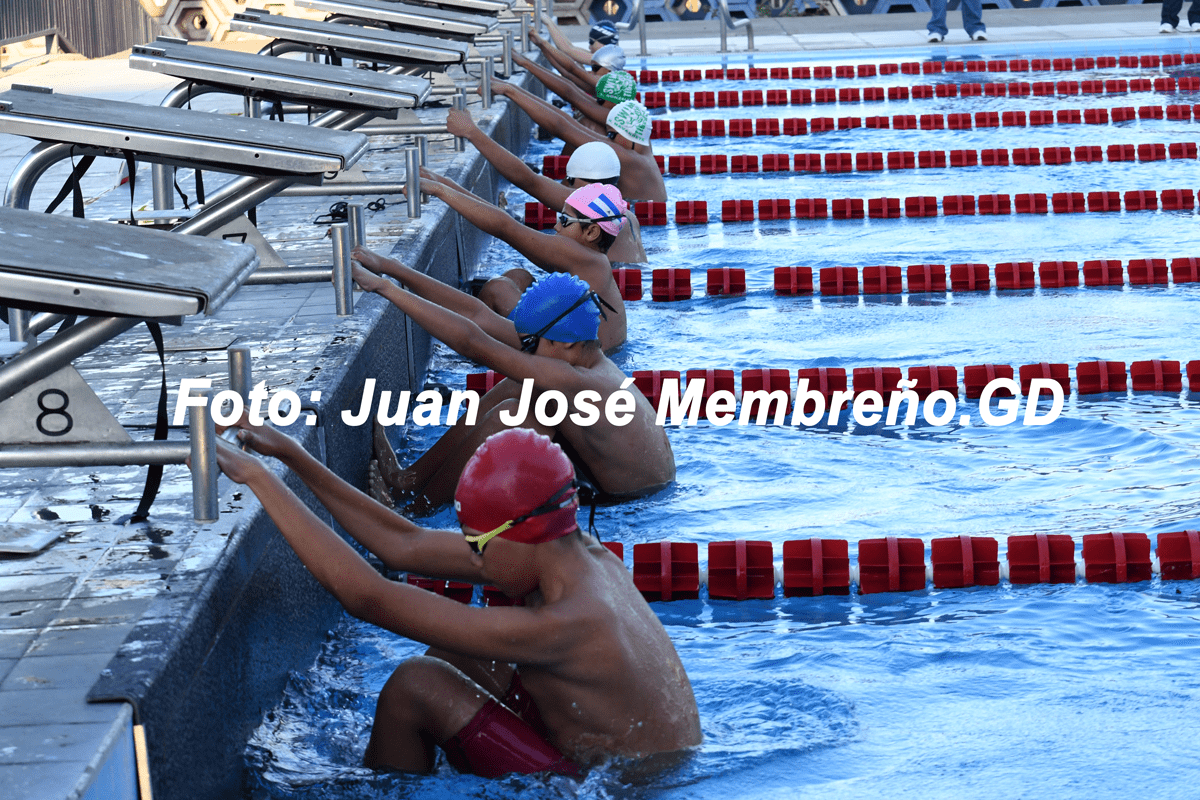 Delfines se lucen en la Piscina Larga 2026