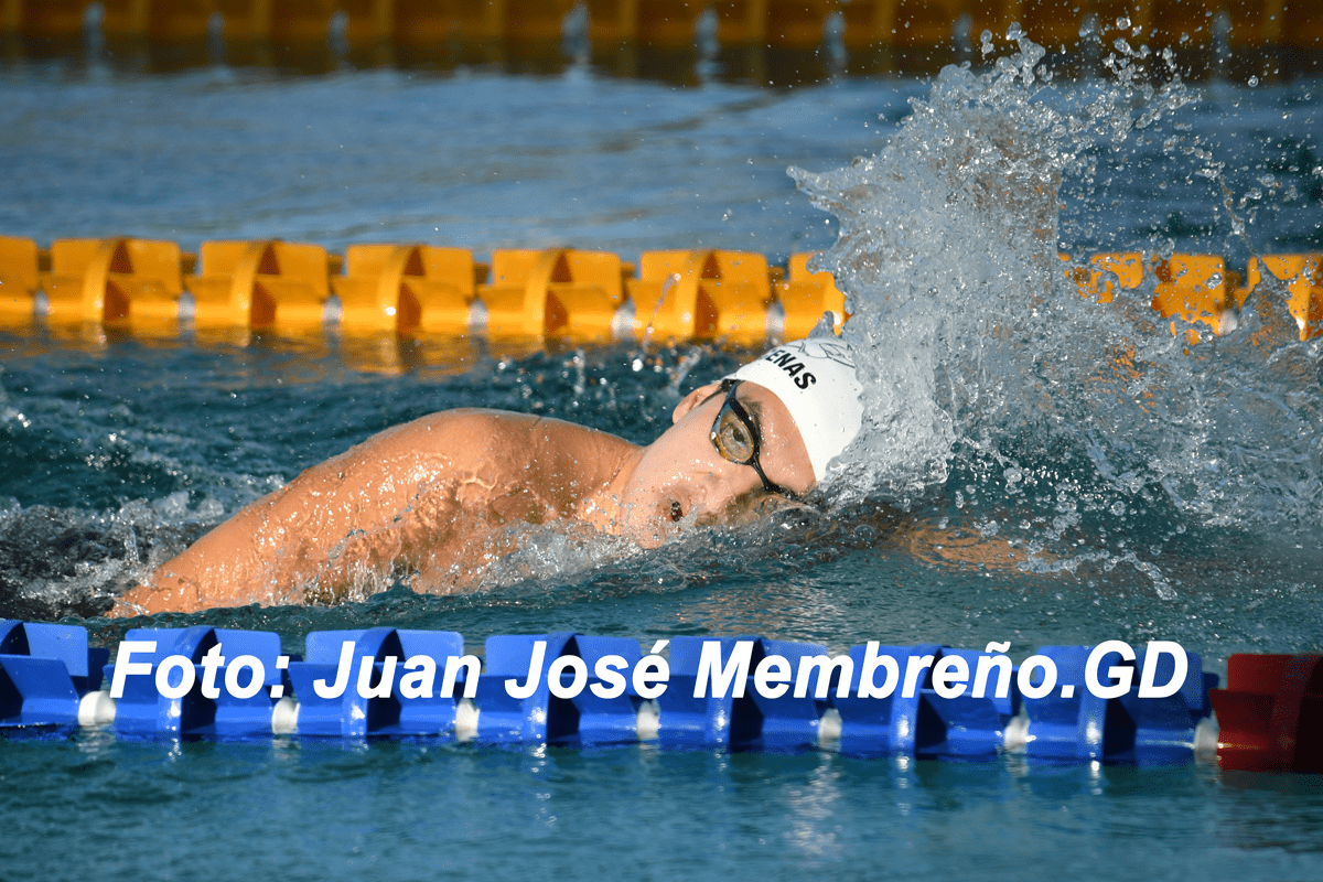 Tritones con cita en piscina larga 2026