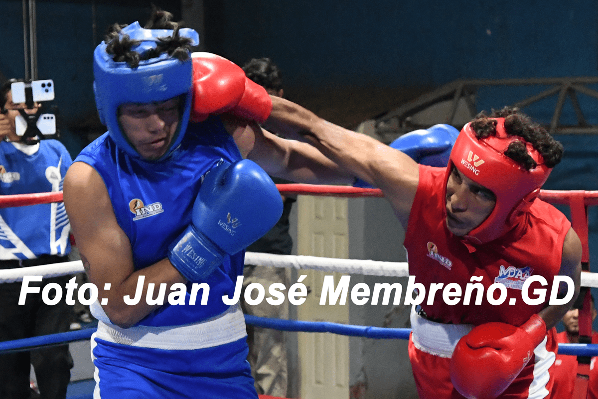 Tigres, Halcones y Warriors luchan por la cima del boxeo
