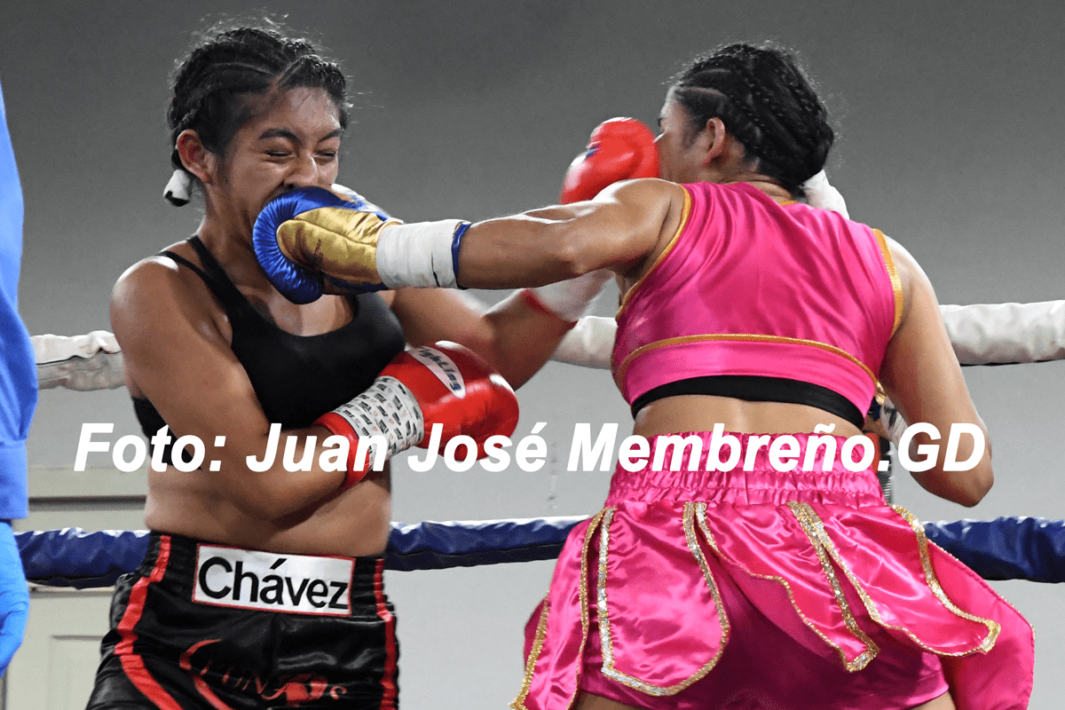 Histórico Congreso Internacional de Boxeo en Costa Rica